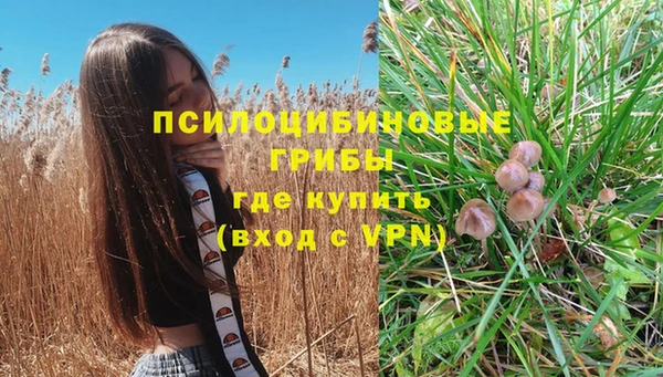 экстази Корсаков