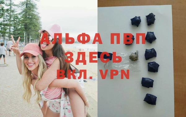 дживик Медвежьегорск