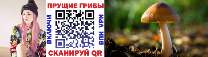 Галлюциногенные грибы MAGIC MUSHROOMS  как найти закладки  Юрюзань 